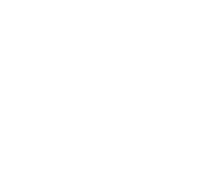 Real American Beer